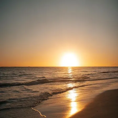 Toit-terrasse Avec Vue Magnifique Sur Apartament