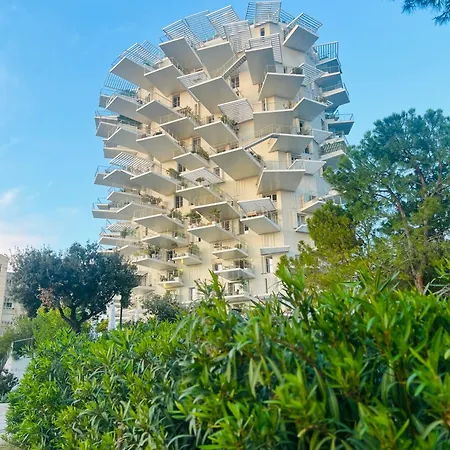 Toit-terrasse Avec Vue Magnifique Sur Apartament Montpellier